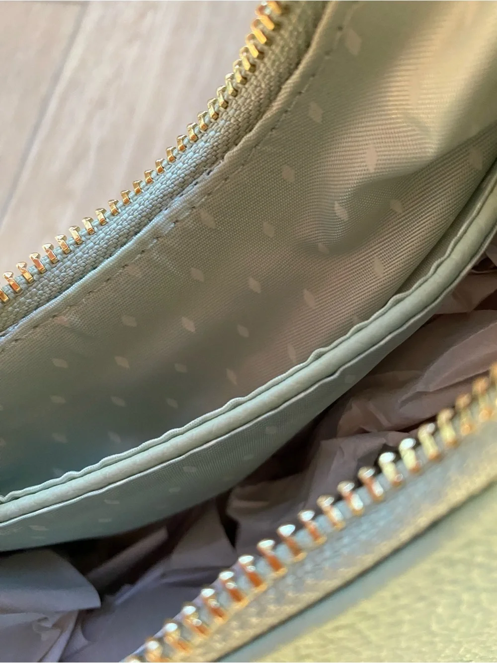 Vanessa Williams Crescent Hobo Bag in Mint Green